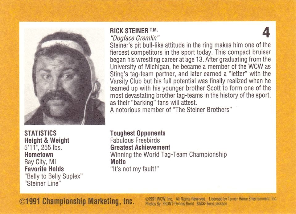 WCWChampMarket0004a.jpg